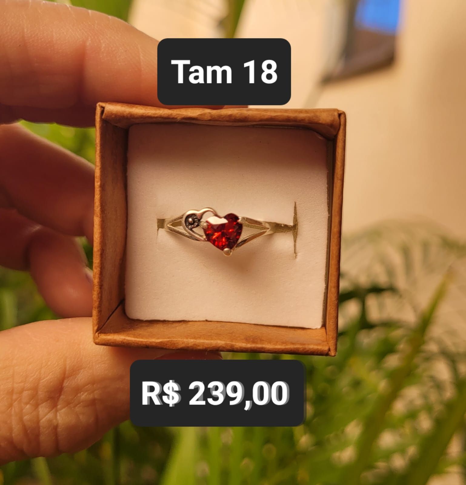 Anel  2 Corações / Zircônia Rubi e Vazado prata Tam 18